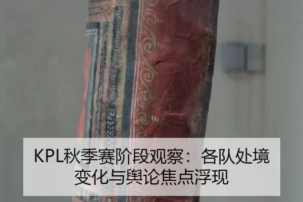 KPL秋季赛阶段观察：各队处境变化与舆论焦点浮现 | HTH